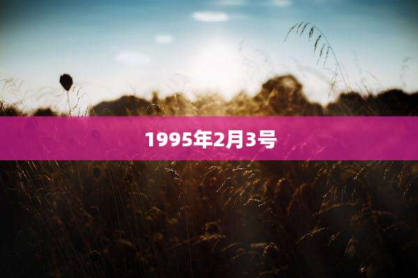 1995年2月3号