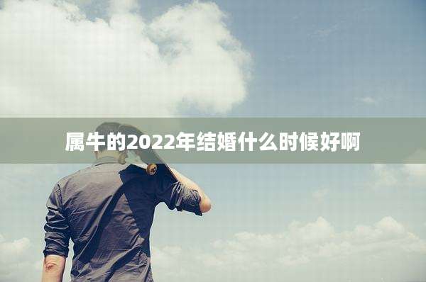 属牛的2022年结婚什么时候好啊