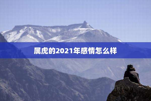 属虎的2021年感情怎么样