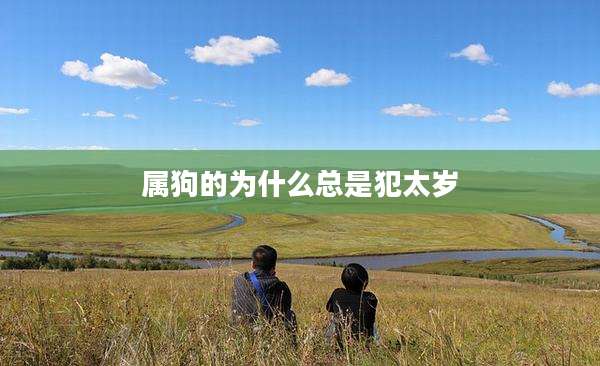 属狗的为什么总是犯太岁