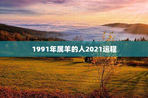 1991年属羊的人2021运程