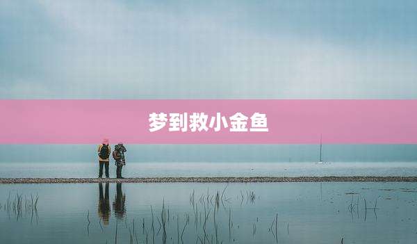 梦到救小金鱼