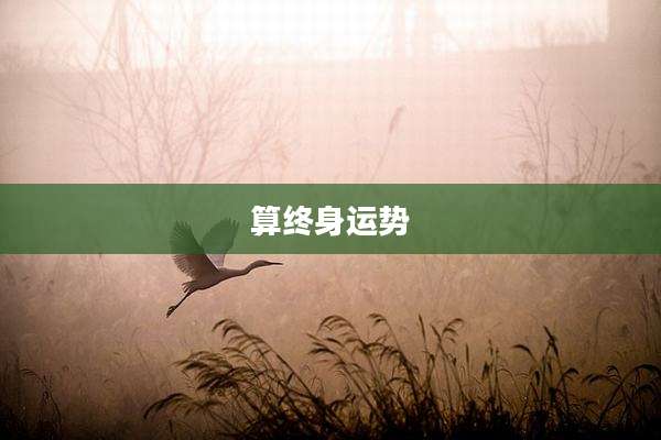 算终身运势