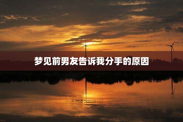 梦见前男友告诉我分手的原因