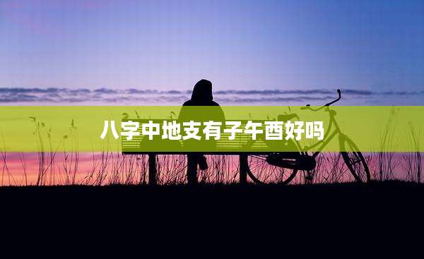 八字中地支有子午酉好吗