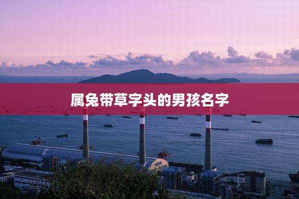 属兔带草字头的男孩名字