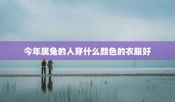 今年属兔的人穿什么颜色的衣服好