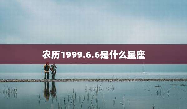农历1999.6.6是什么星座