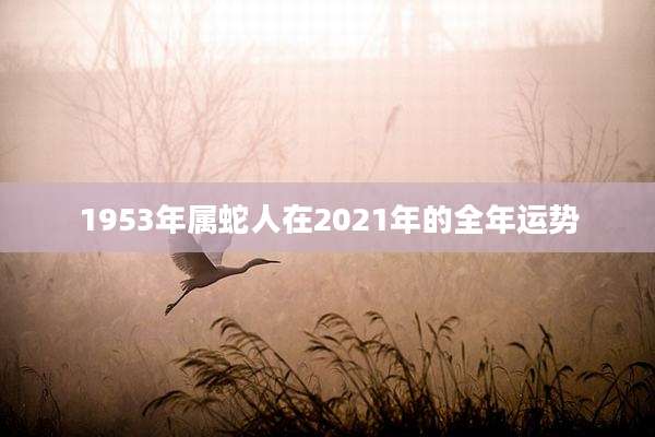 1953年属蛇人在2021年的全年运势