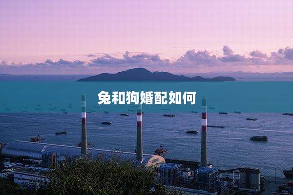 兔和狗婚配如何