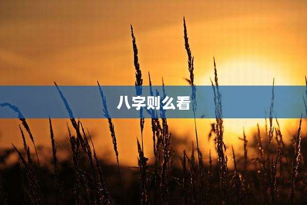 八字则么看