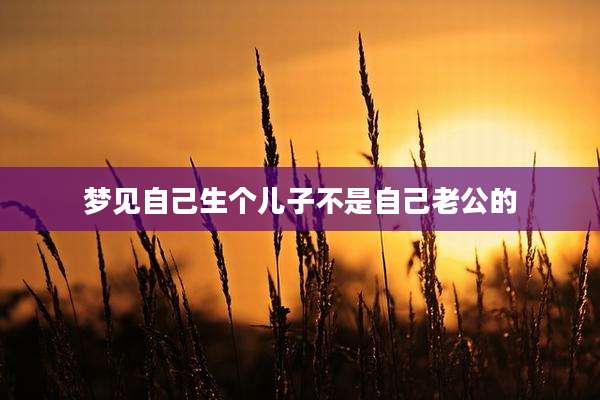 梦见自己生个儿子不是自己老公的