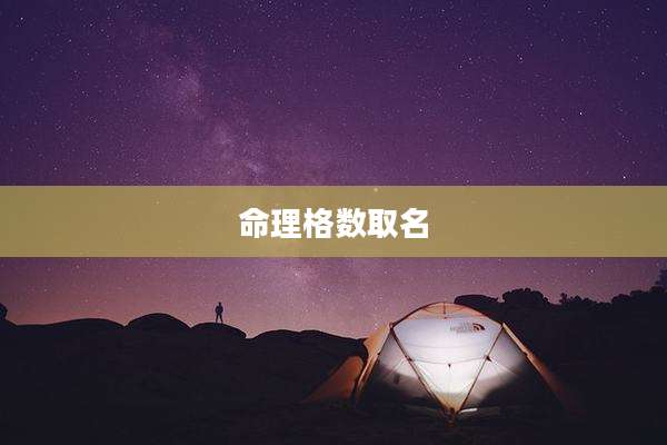 命理格数取名
