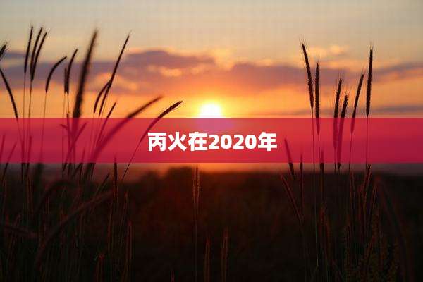 丙火在2020年