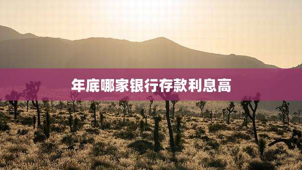 年底哪家银行存款利息高