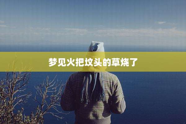 梦见火把坟头的草烧了