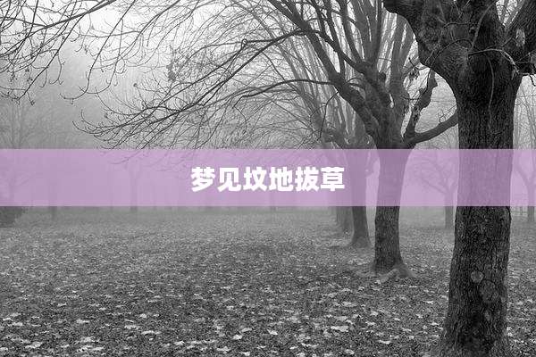 梦见坟地拔草