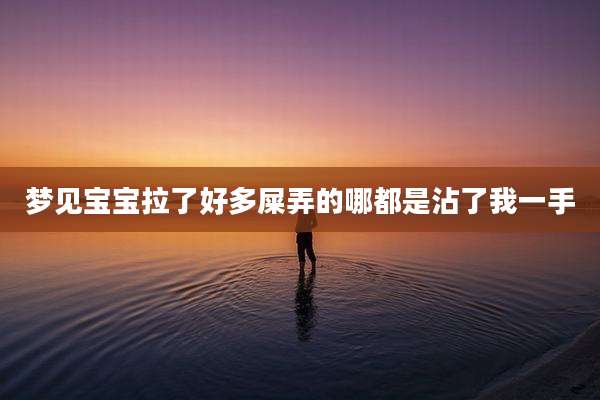 梦见宝宝拉了好多屎弄的哪都是沾了我一手