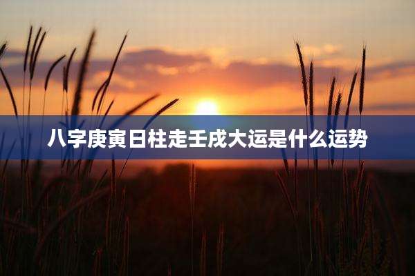 八字庚寅日柱走壬戌大运是什么运势