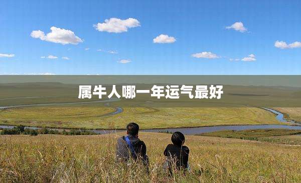 属牛人哪一年运气最好