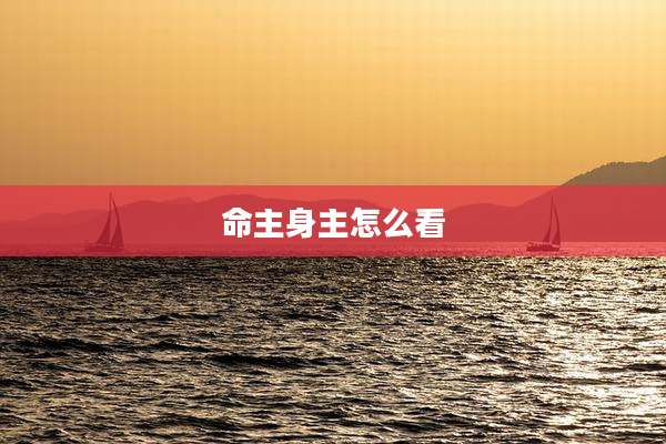 命主身主怎么看