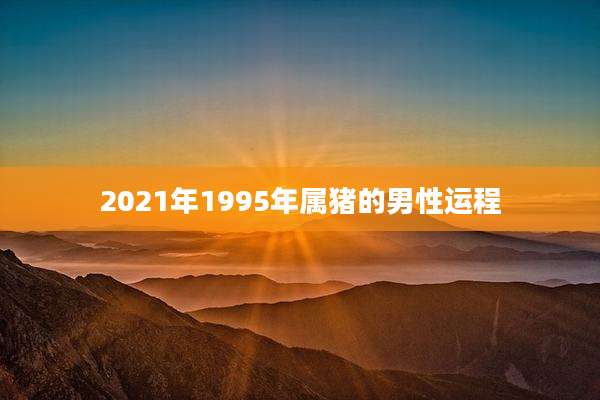 2021年1995年属猪的男性运程
