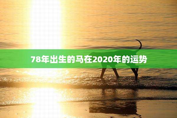 78年出生的马在2020年的运势