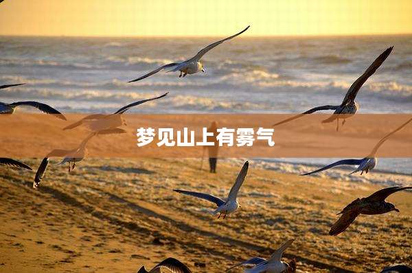 梦见山上有雾气