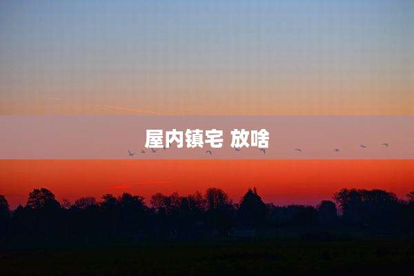 屋内镇宅 放啥