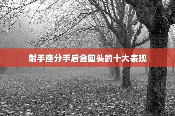 射手座分手后会回头的十大表现