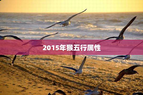 2015年猴五行属性