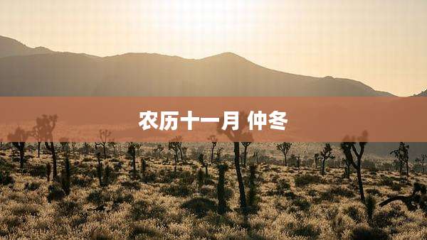 农历十一月 仲冬