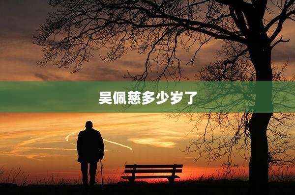 吴佩慈多少岁了