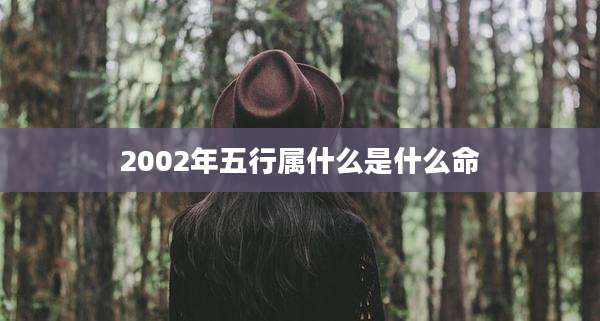 2002年五行属什么是什么命