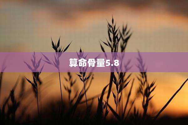 算命骨量5.8