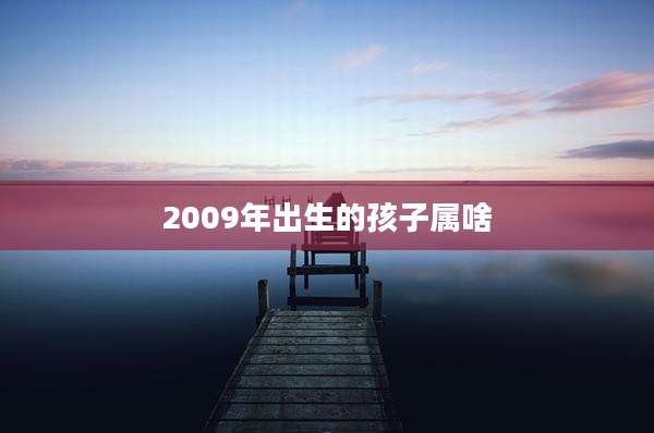 2009年出生的孩子属啥