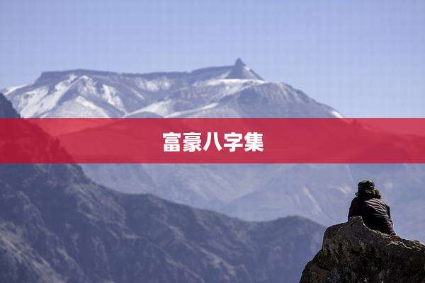 富豪八字集