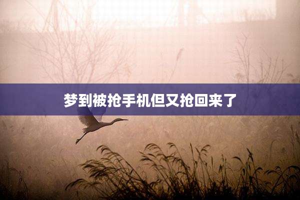 梦到被抢手机但又抢回来了