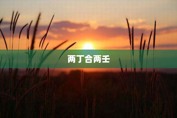 两丁合两壬