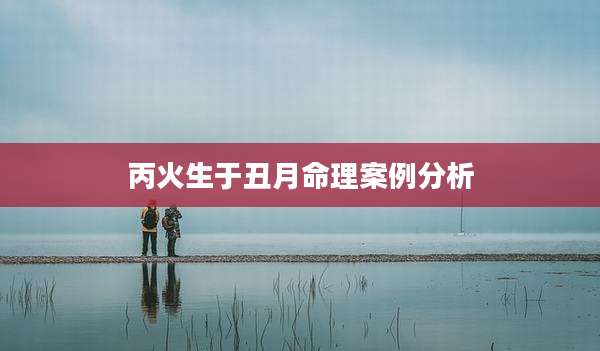 丙火生于丑月命理案例分析