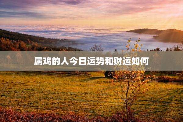 属鸡的人今日运势和财运如何