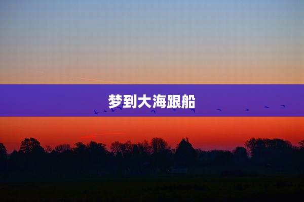 梦到大海跟船