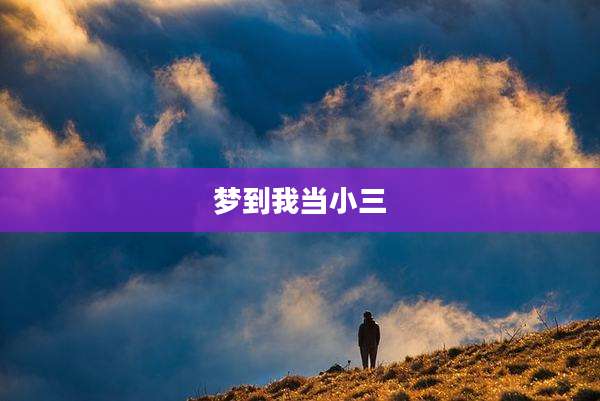 梦到我当小三