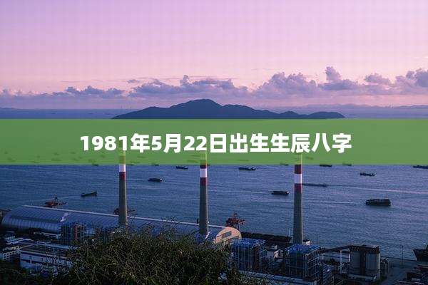 1981年5月22日出生生辰八字