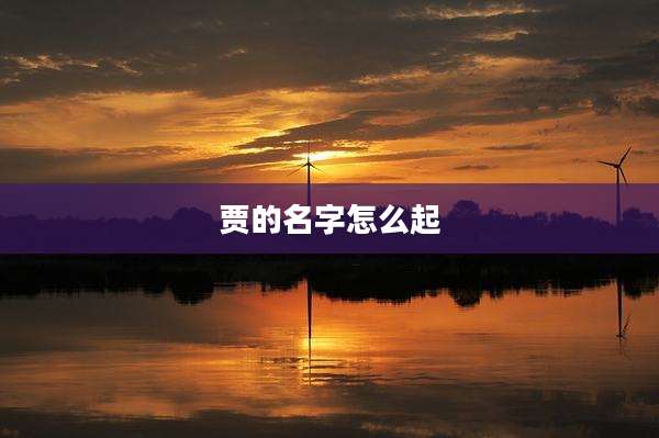 贾的名字怎么起
