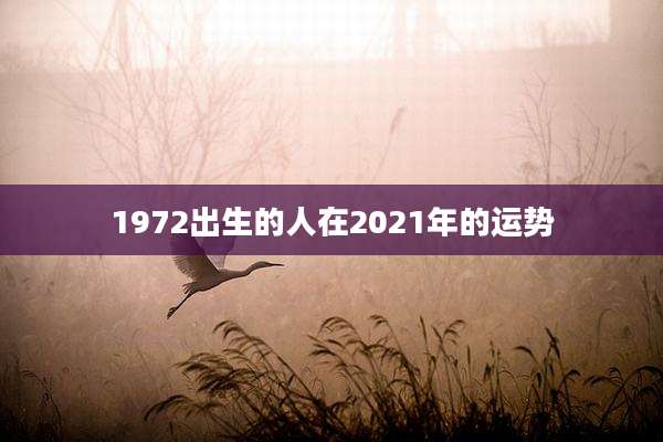 1972出生的人在2021年的运势