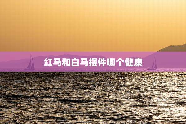 红马和白马摆件哪个健康