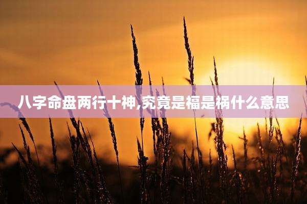 八字命盘两行十神,究竟是福是祸什么意思
