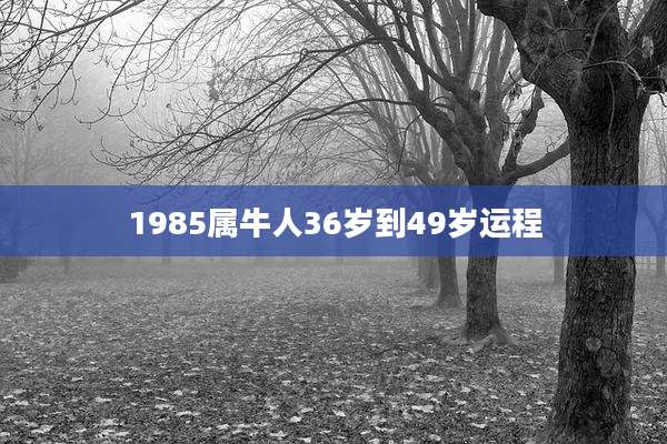 1985属牛人36岁到49岁运程