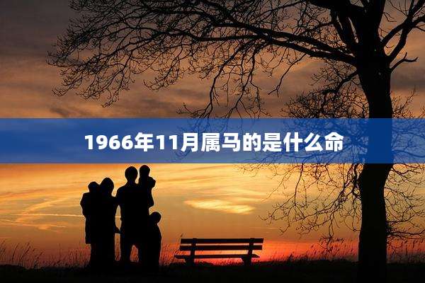 1966年11月属马的是什么命